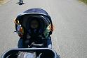 Picture 6405